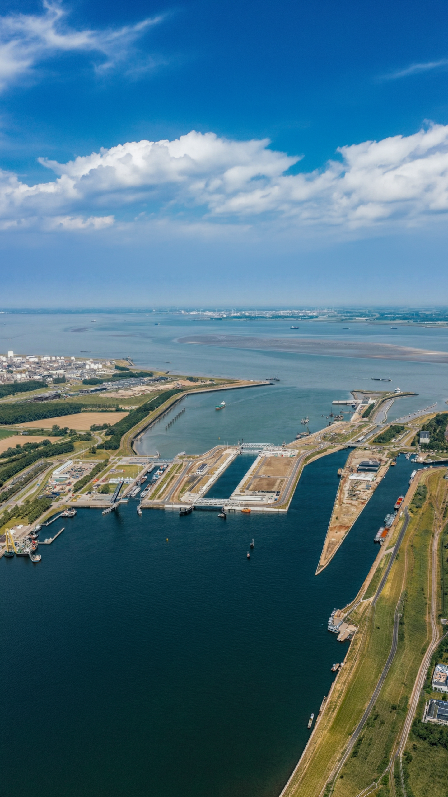 Gemini G2enerated Image rid50rid50rid50r